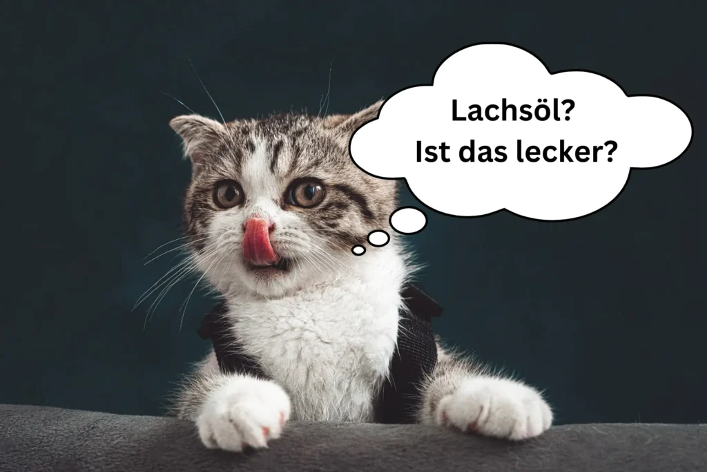 Lachsöl bei Katzen: Gesundheitliche Vorteile