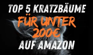 Top 5 Kratzbäume für unter 200€