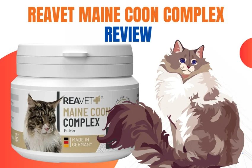 ReaVET Maine Coon Complex Review