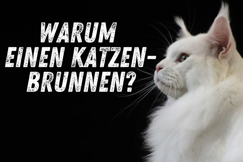 Warum Ihre Katze einen Katzenbrunnen braucht